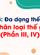 Bài 14. Phân loại thế giới sống (Phần III, IV)